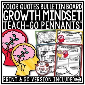 Growth Mindset Quotes for Bulletin Board Pennant