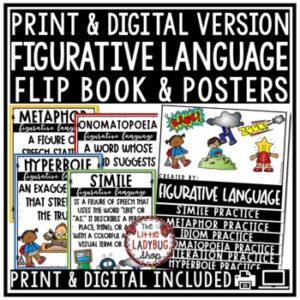 Figurative Language Activities, Posters Worksheets Idioms, Metaphors, Similes-1