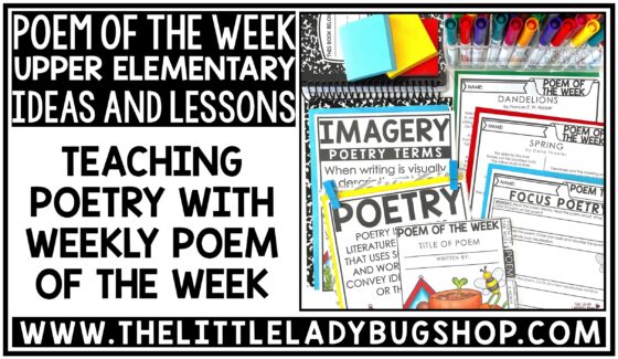 Focused Poetry with Poem of the Week - The Little Ladybug Shop