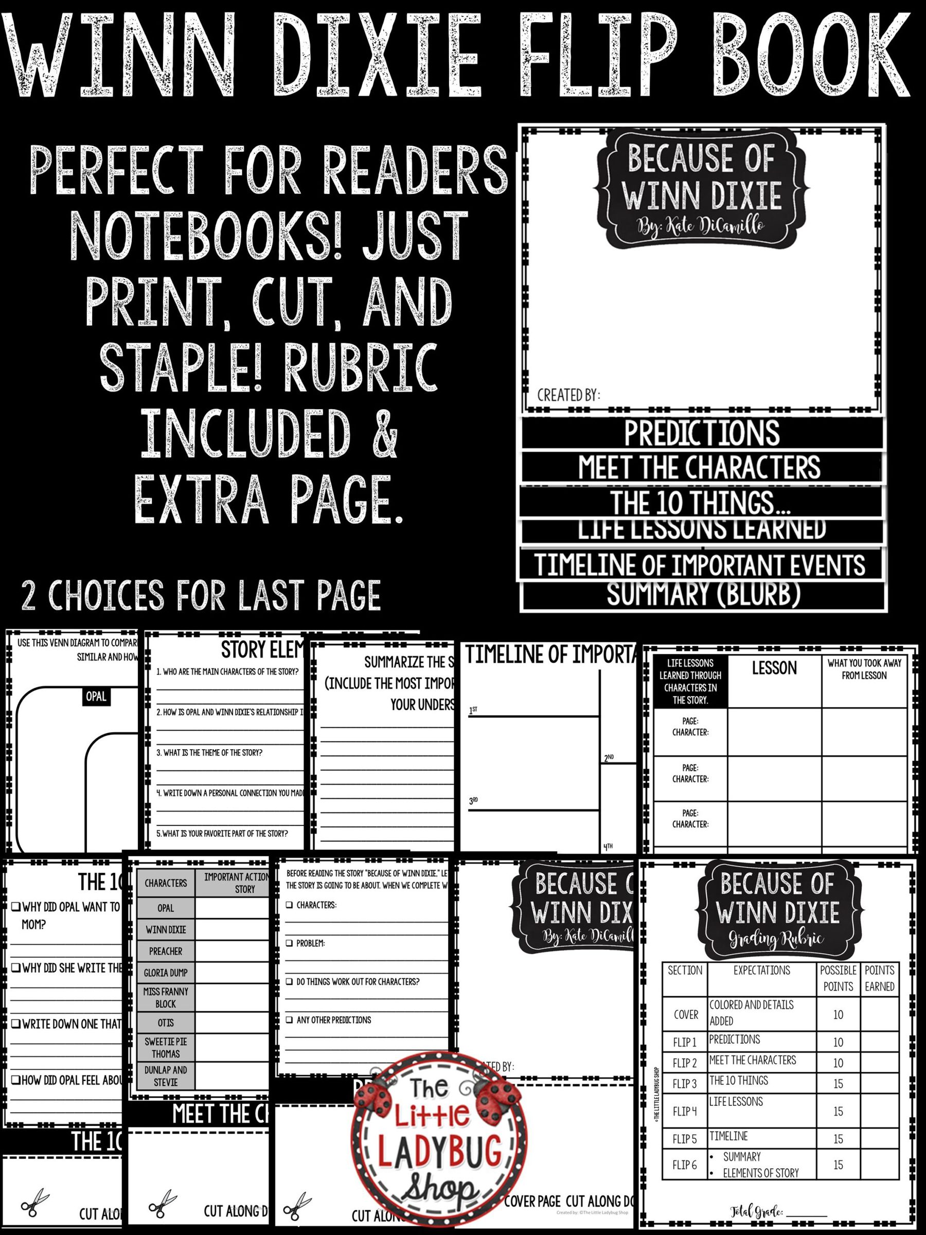 Because of winn dixie book report rubric image