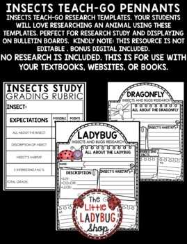 Bugs and Insects Activities Spring Science Research Template Bulletin Boards-3
