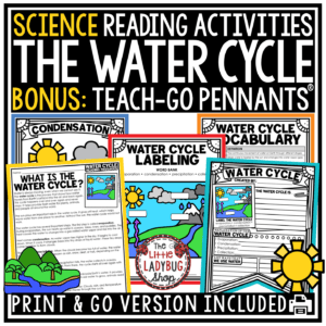 Water Cycle Reading Passage Worksheet Diagram Research Poster