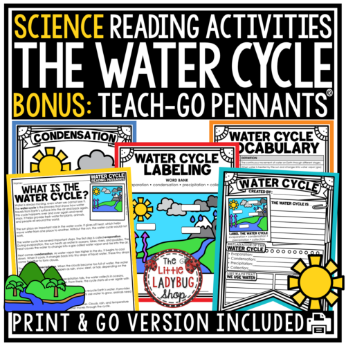 Water Cycle Reading Passage Worksheet Diagram Research Poster