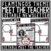 Flamingo Welcome Back to School Letters Editable: Meet The Teacher Template
