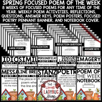 Focused April Spring Poetry Month Reading Comprehension Passages and Questions-2