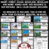 Food Webs Activities and Food Chains in Animal Habitats Research Bulletin Board