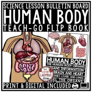 Human Body Organs Systems Activities Research Brain, Heart Science Lessons-1