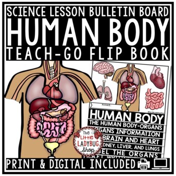 Human Body Organs Systems Activities Research Brain, Heart Science Lessons-1