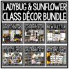 Ladybug & Sunflower Classroom Decor: Meet the Teacher, Newsletter Template