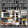 Ladybug & Sunflower Classroom Decor: Meet the Teacher, Newsletter Template - Image 2