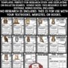 Owls Animals Research Activities Report Templates Owls Fall Bulletin Board-2