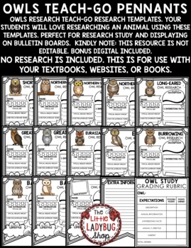 Owls Animals Research Activities Report Templates Owls Fall Bulletin Board-2