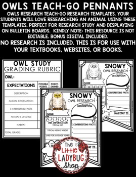 Owls Animals Research Activities Report Templates Owls Fall Bulletin Board-3