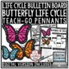 Butterfly Life Cycle Activity Science Insects Spring Center