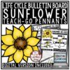 Life Cycle of a Sunflower Activity Spring, Fall Bulletin Board