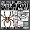 Spider Life Cycle Activity- Arachnids Study Fall Center