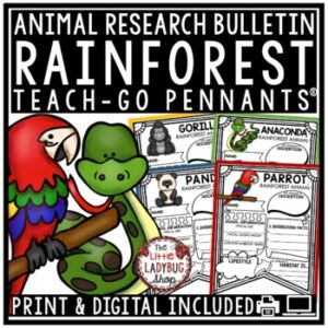 Rainforest Animals Research Activities Report Templates Science Bulletin Board-1