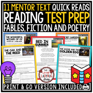 Poetry Fiction Fables Test Prep Reading Comprehension Passages 3rd 4th 5th Grade