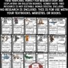 Endangered Animals Research Project