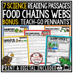 Animal Habitats Ecosystems Food Chains and Food Webs Worksheets