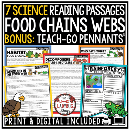 Animal Habitats Ecosystems Food Chains and Food Webs Worksheets