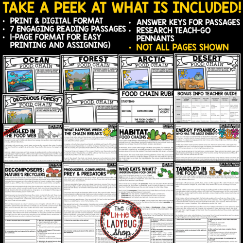 Animal Habitats Ecosystems Food Chains and Food Webs Worksheets