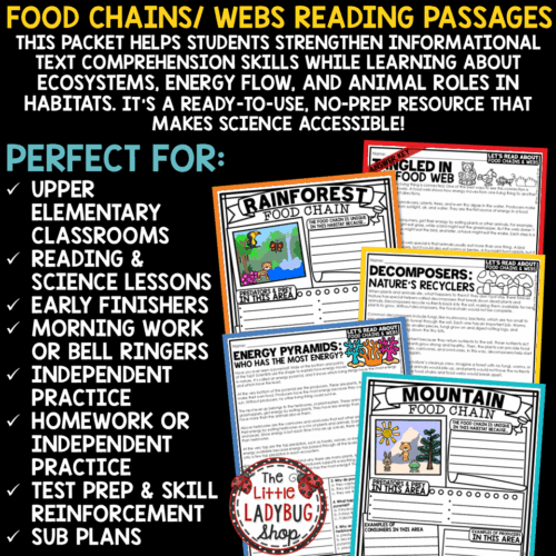 Animal Habitats Ecosystems Food Chains and Food Webs Worksheets