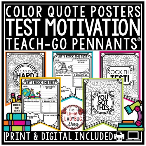 Testing Motivation Quotes for Bulletin Board Pennants