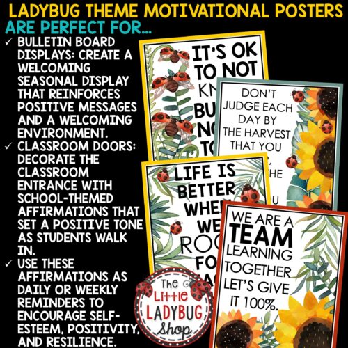 Ladybug Sunflower Theme Classroom Decor Posters Garden Nature Insects Flowers