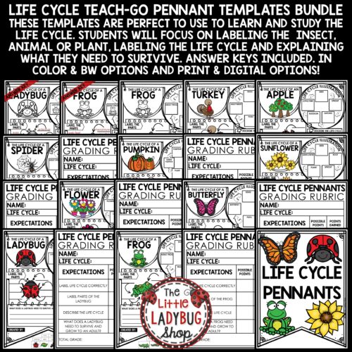 Spring Life Cycles Science Activities