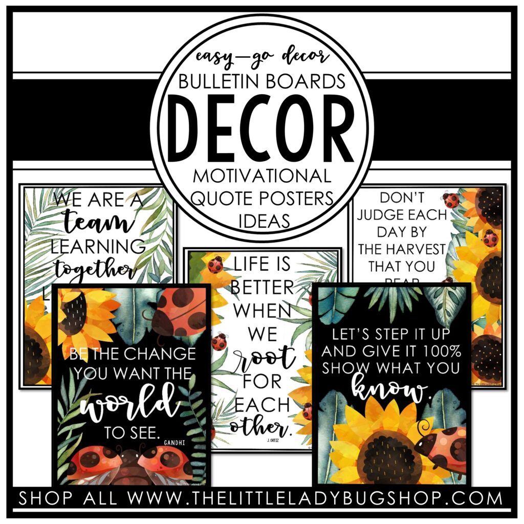 Ladybug and Sunflower Theme Bulletin Board Ideas for Teachers
