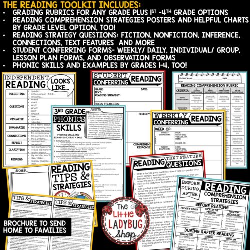 Reading Intervention Small Group Binder