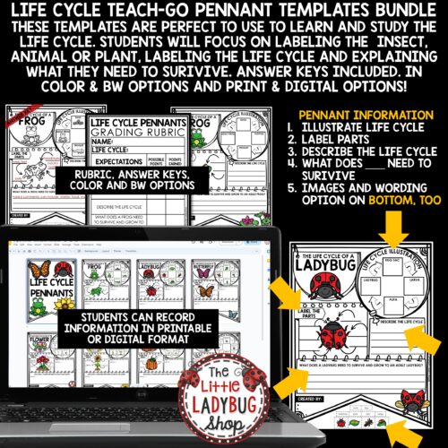 Spring Life Cycles Science Activities