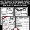 All About Bats Research Templates Project Bulletin Board Idea