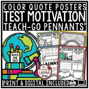 Testing Motivation Quotes for Bulletin Board Pennants