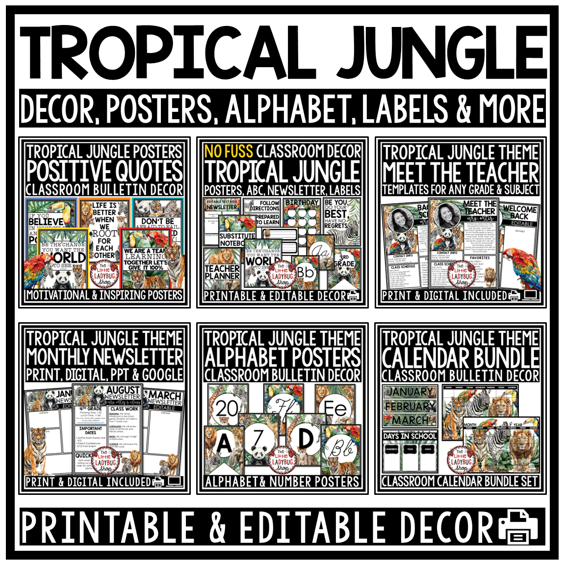 Wild Animal Safari Jungle Tropical Theme Classroom Décor Adventure Expedition