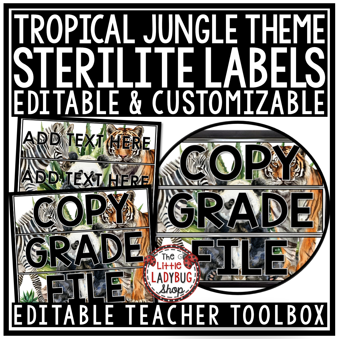 Wild Animal Safari Jungle Tropical Theme Classroom Décor Adventure Expedition