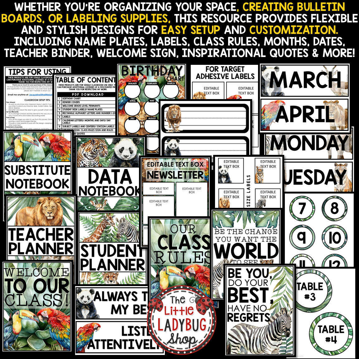 Wild Animal Safari Jungle Tropical Theme Classroom Décor Adventure Expedition