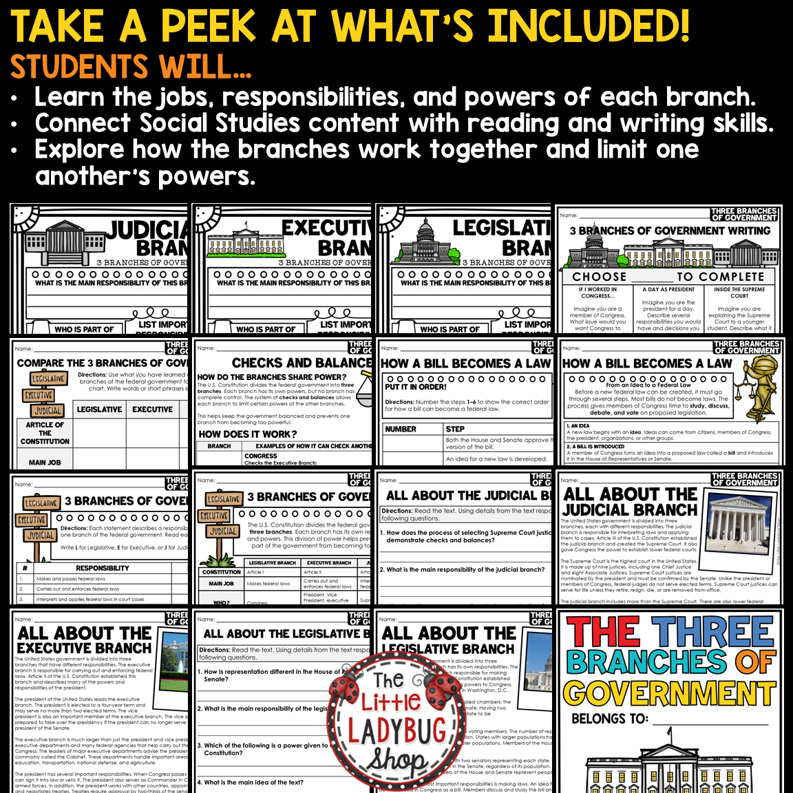 3 Three Branches of Government Activities Worksheets U.S. Government