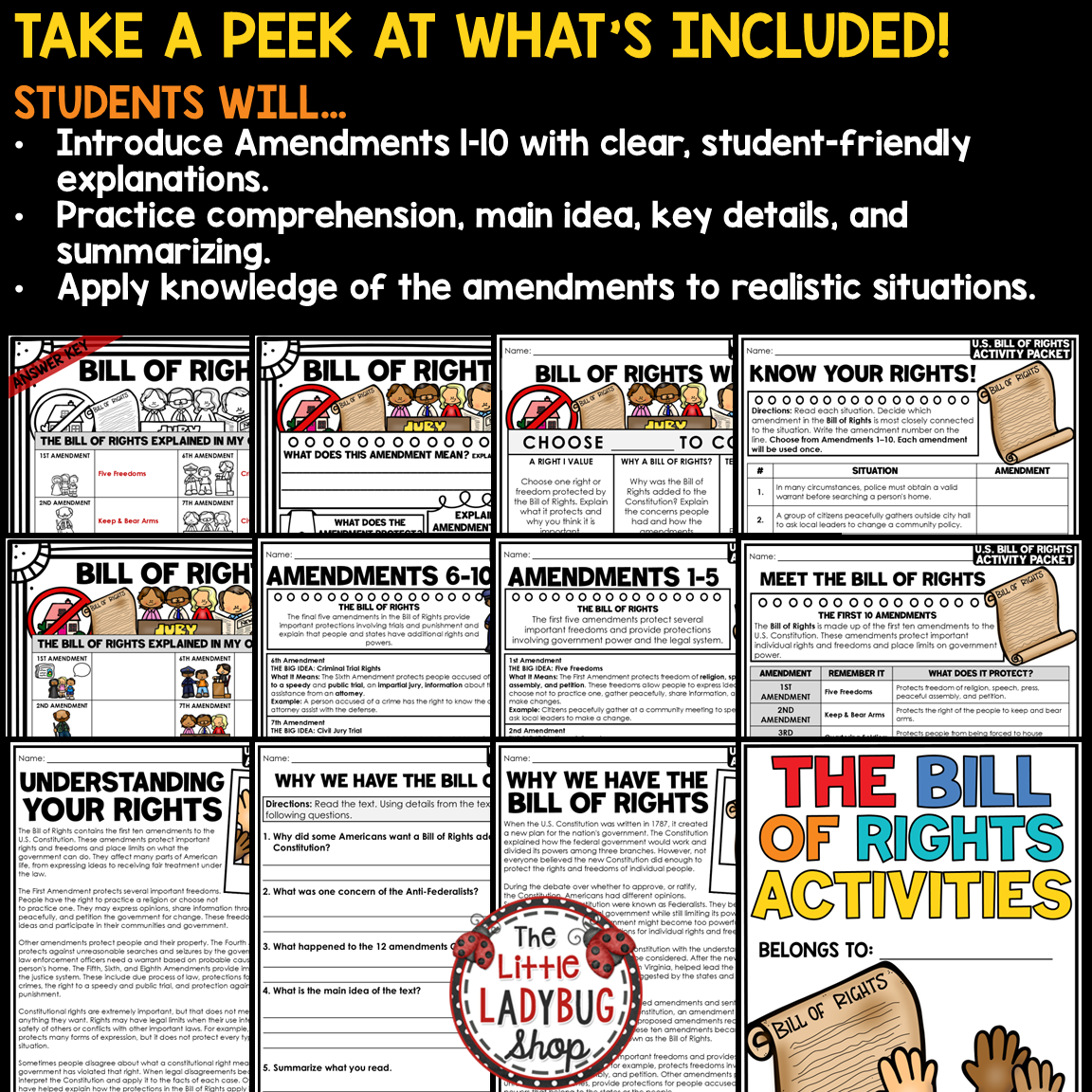 U.S. Bill of Rights Activity Reading Government Civics 3rd 4th 5th Grade