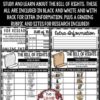 United States Bill of Rights Activity & US History Research Teach- Go Pennants™ - Image 2