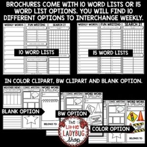 Vocabulary Spelling Word Work Practice - The Little Ladybug Shop