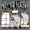 Welcome Back to School Letters Editable: Meet The Teacher Template