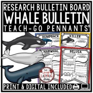 Whales Ocean Animals Research Activities Report Templates Science Bulletin Board-1