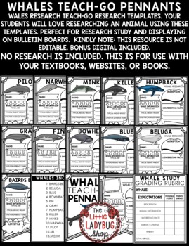 Whales Ocean Animals Research Activities Report Templates Science Bulletin Board-2