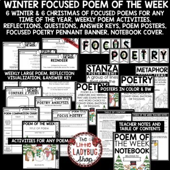 Winter Christmas December Poetry Reading Comprehension Passages and Questions-3