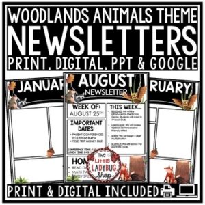 Woodland Animals Owl Theme Classroom Monthly Weekly Newsletter Template Editable