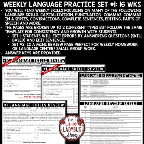 Grammar Practice Language Review 3rd 4th Grade