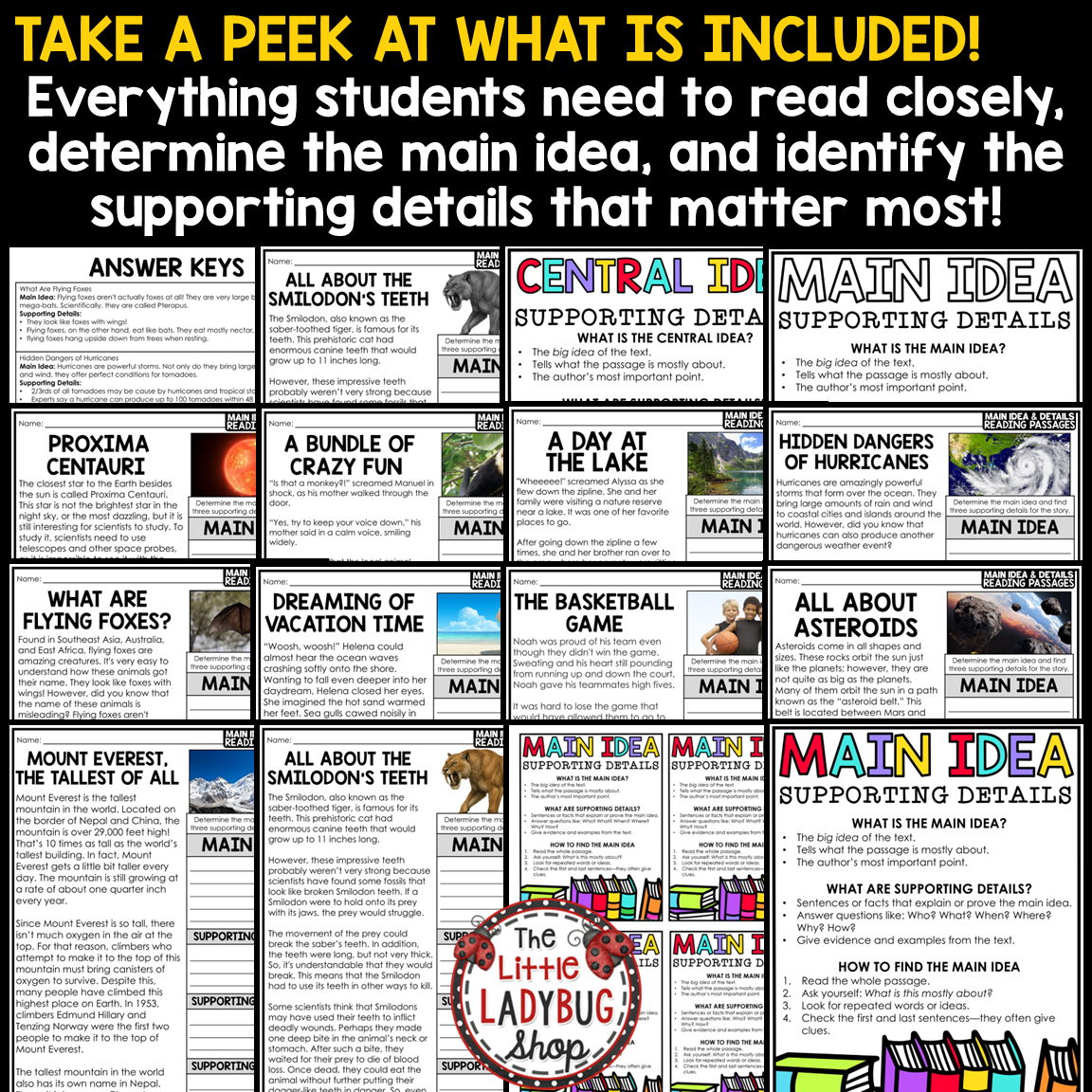 Main Idea and Supporting Details Reading Comprehension Passages