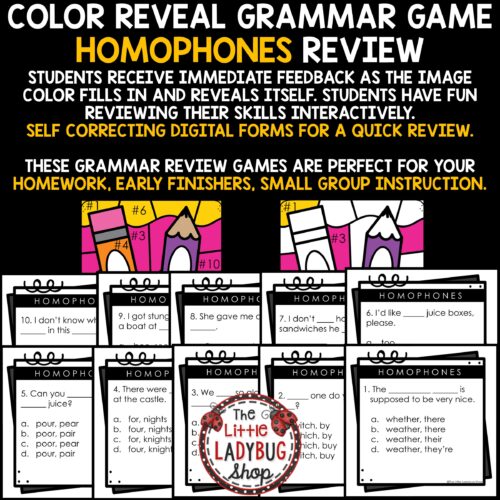 Color By Code ELA Grammar Homophones Test Prep Review 3rd 4th Grade